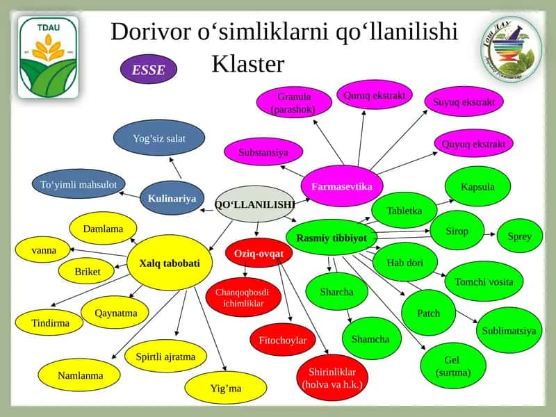 Qaynatma 1