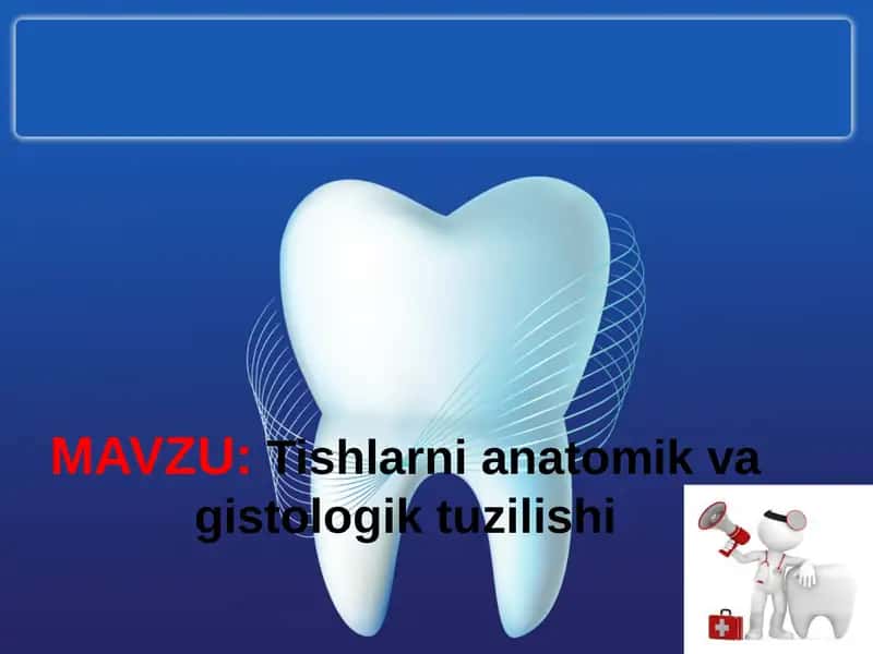 Tishlarni anatomik va gistologik tuzilishi 1