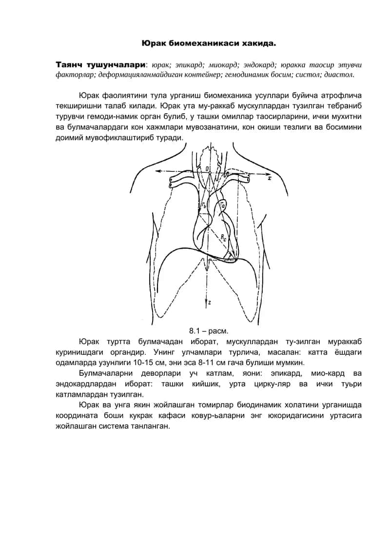 Юрак биомеханикаси 1