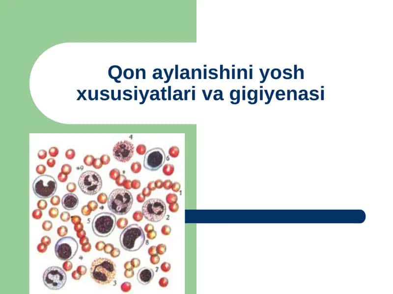 Yosh xususiyatlariva gigiyenasi 1