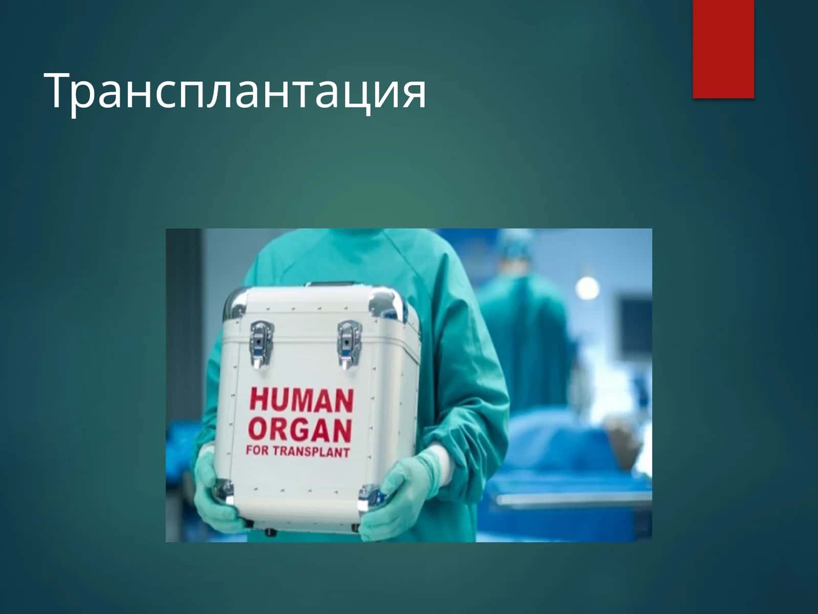 Трансплантация 1