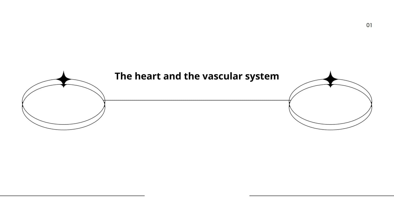 The heart and the vascular system 1