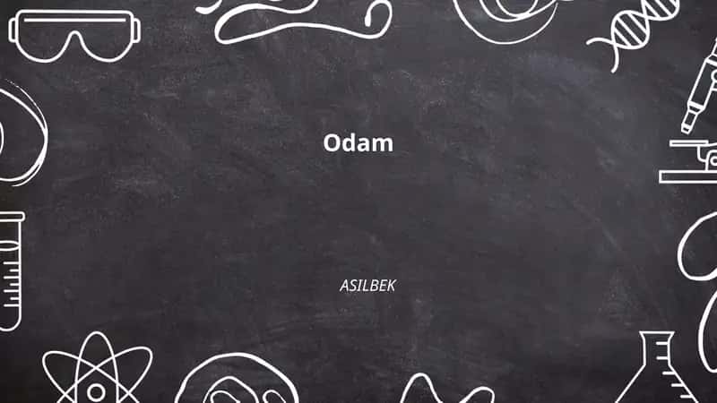 Odami anatomiyasi 1