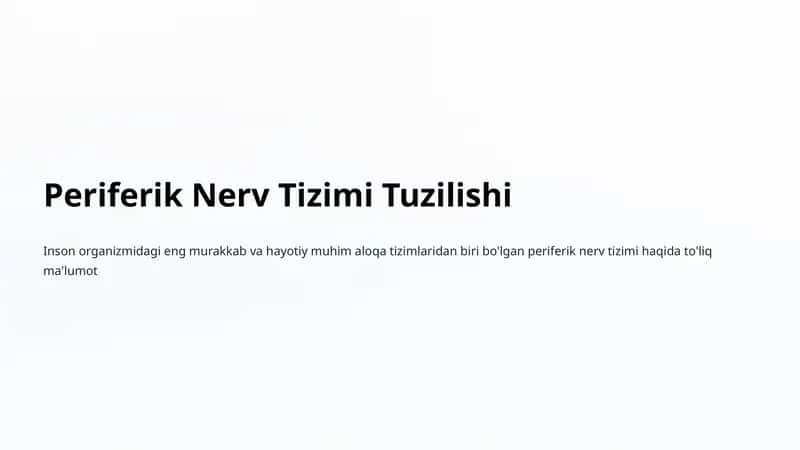 Periferik Nerv Tizimi Tuzilishi 1
