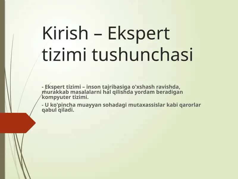 Ekspert tizimi 1