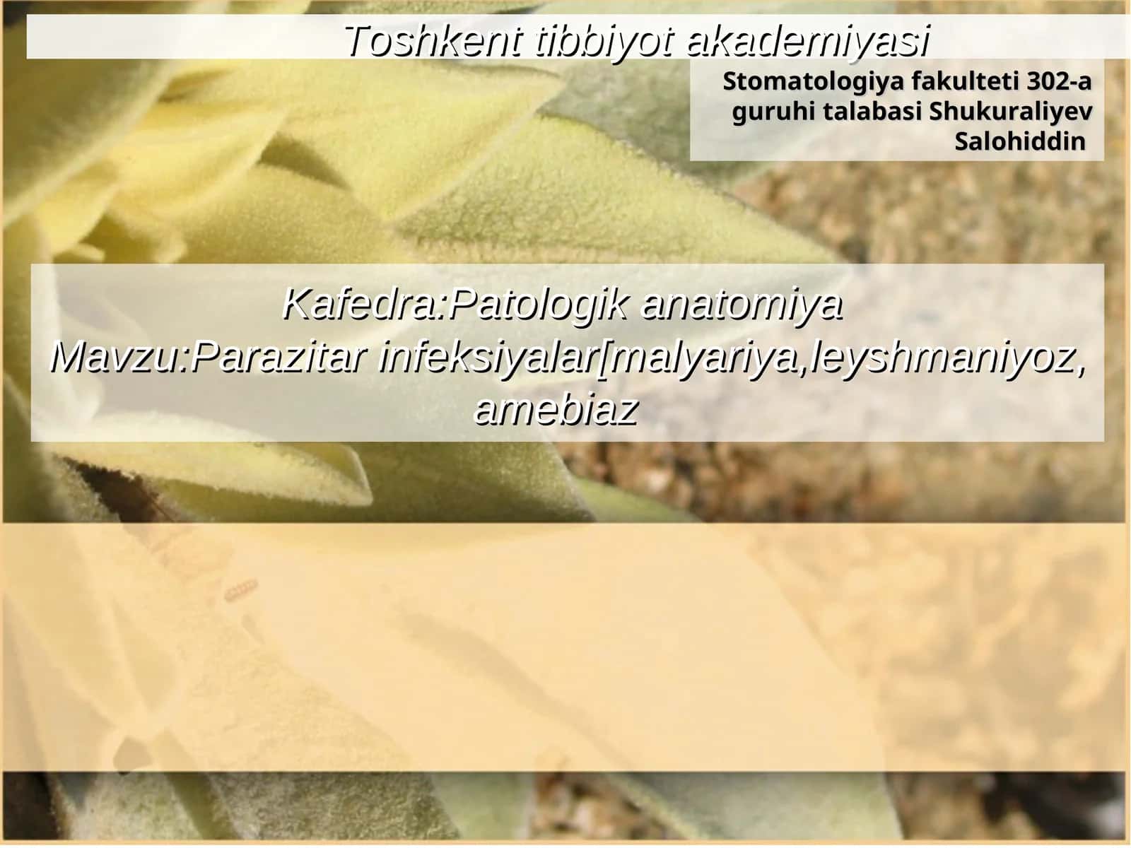 Parazitar infeksiyalar - Leyshmaniyoz 1