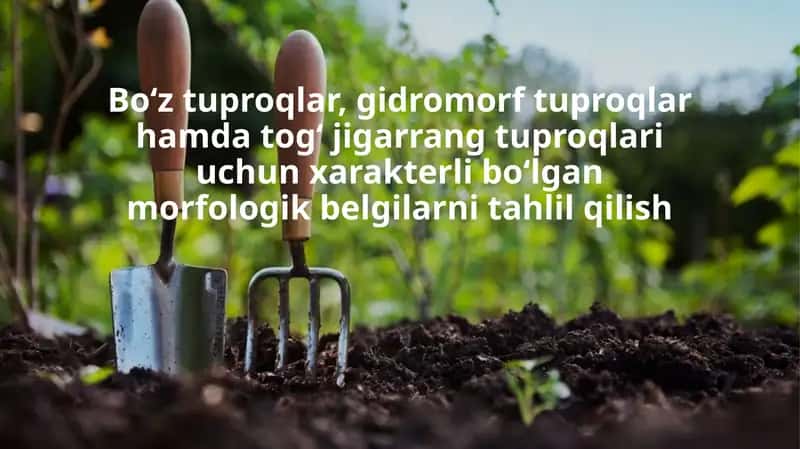 Tuproq morfologiyasi 1