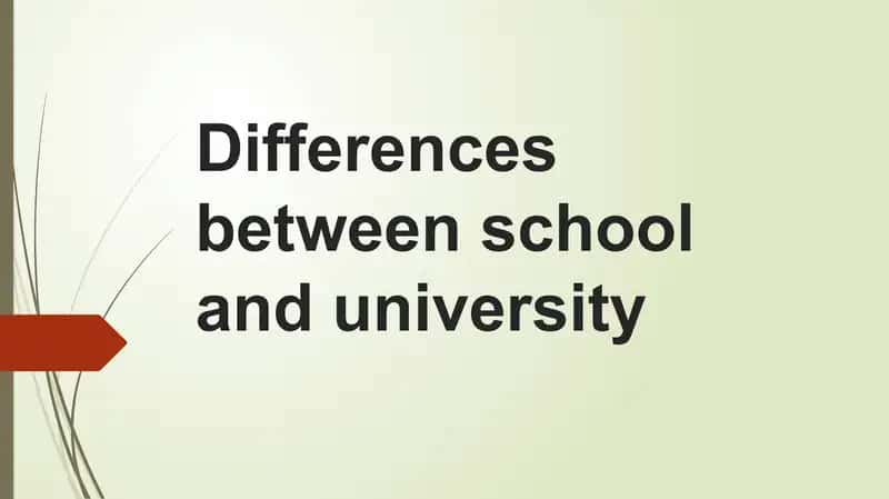 School vs University Comparison 1