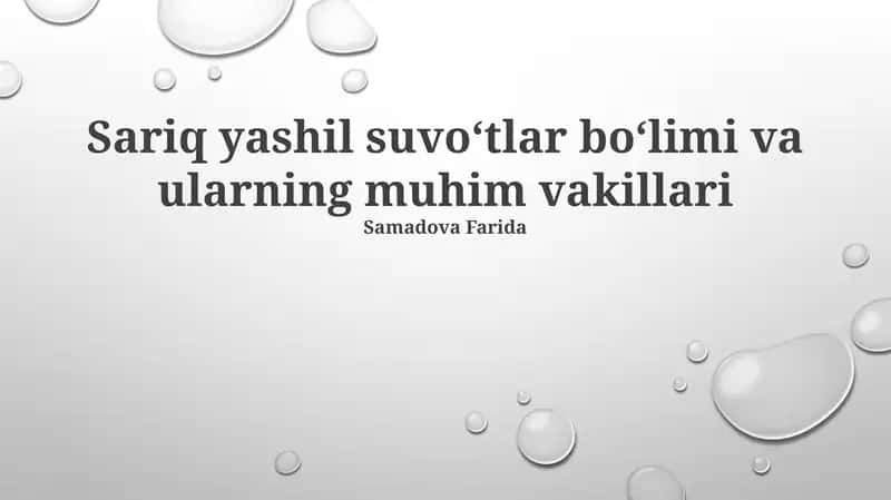 Yashil suv o'tlarining muhim vakillari 1