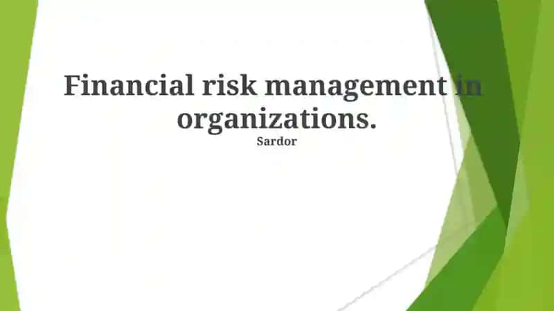Financial Risk Management in Organizations