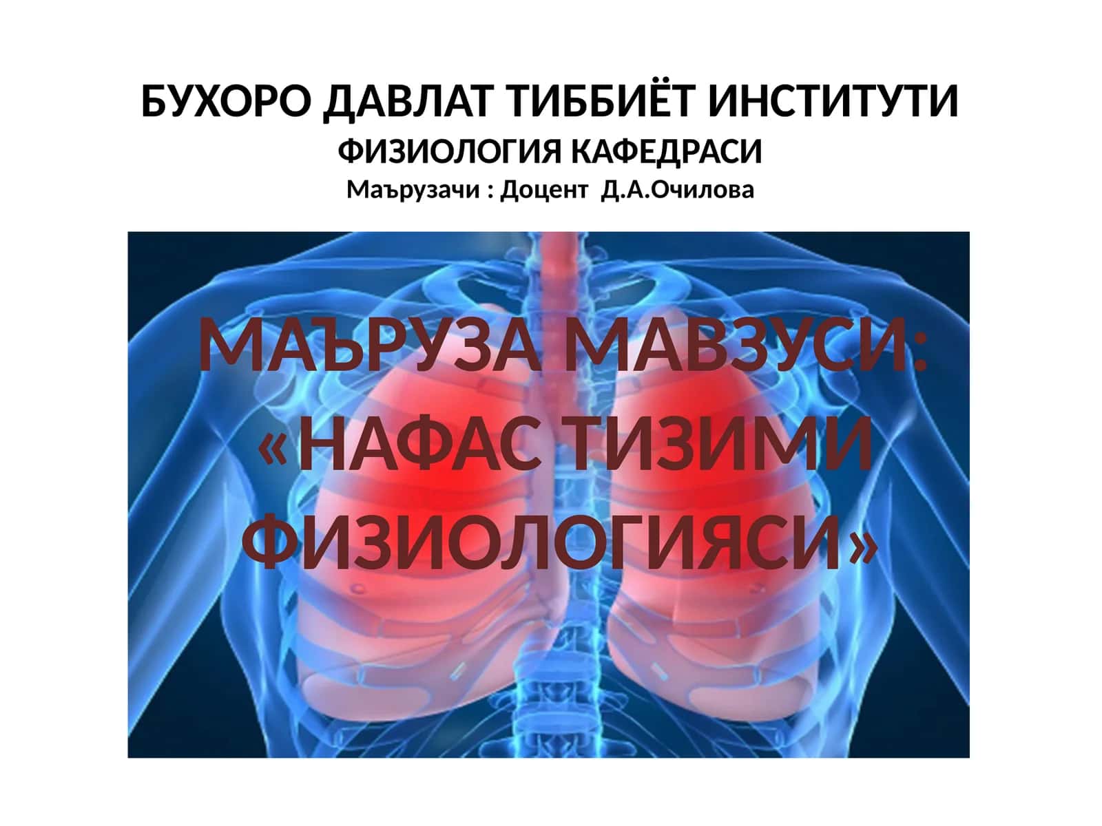 Нафастизимифизиологияси 1