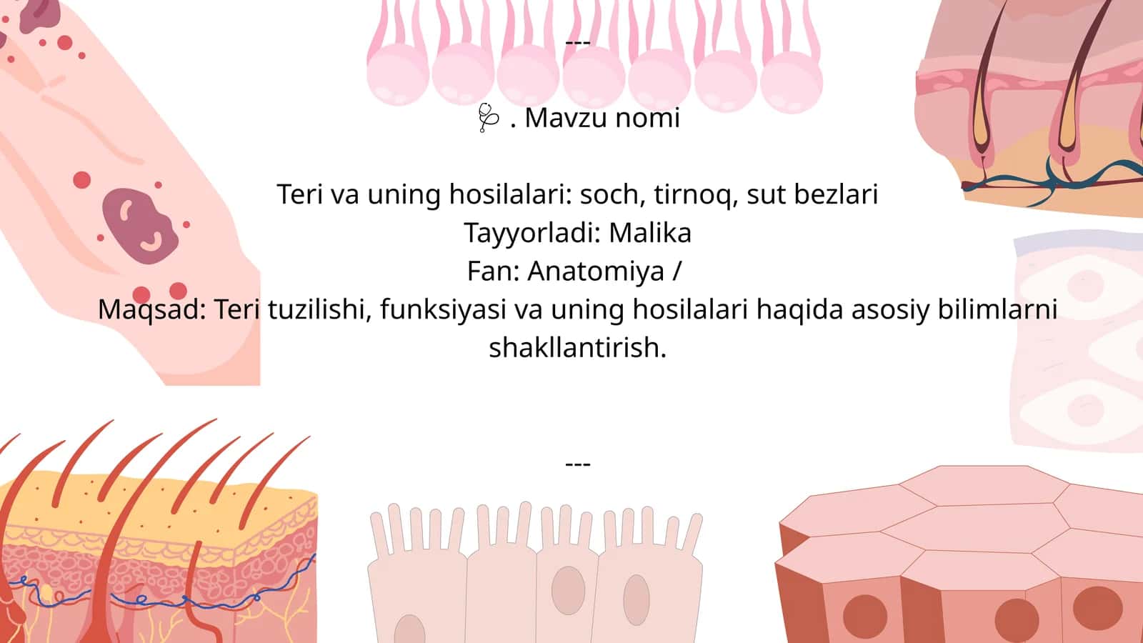 Teri va uning hosilalari: soch, tirnoq, sut bezlari 1