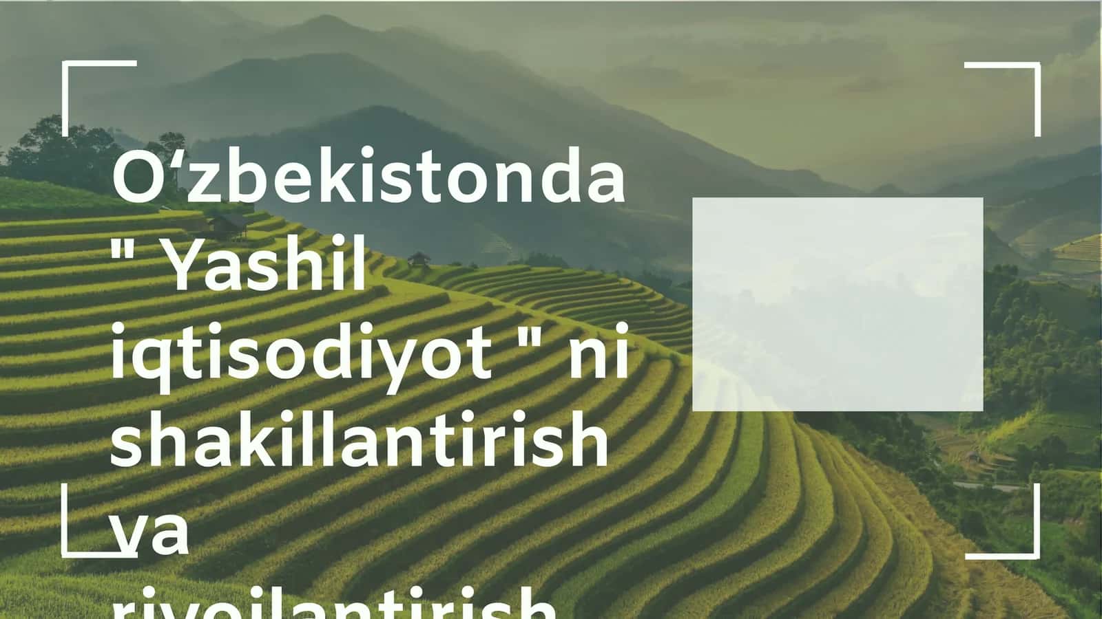 "Yashil iqtisodiyot" 1