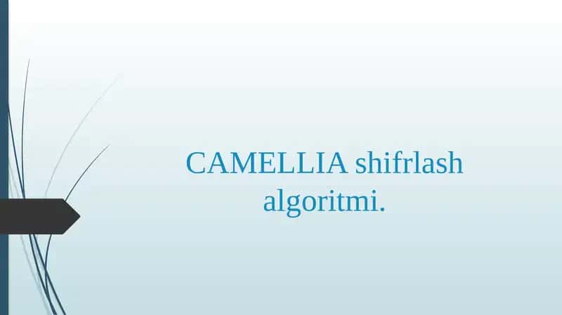 CAMELLIA shifrlash algoritmi. 1
