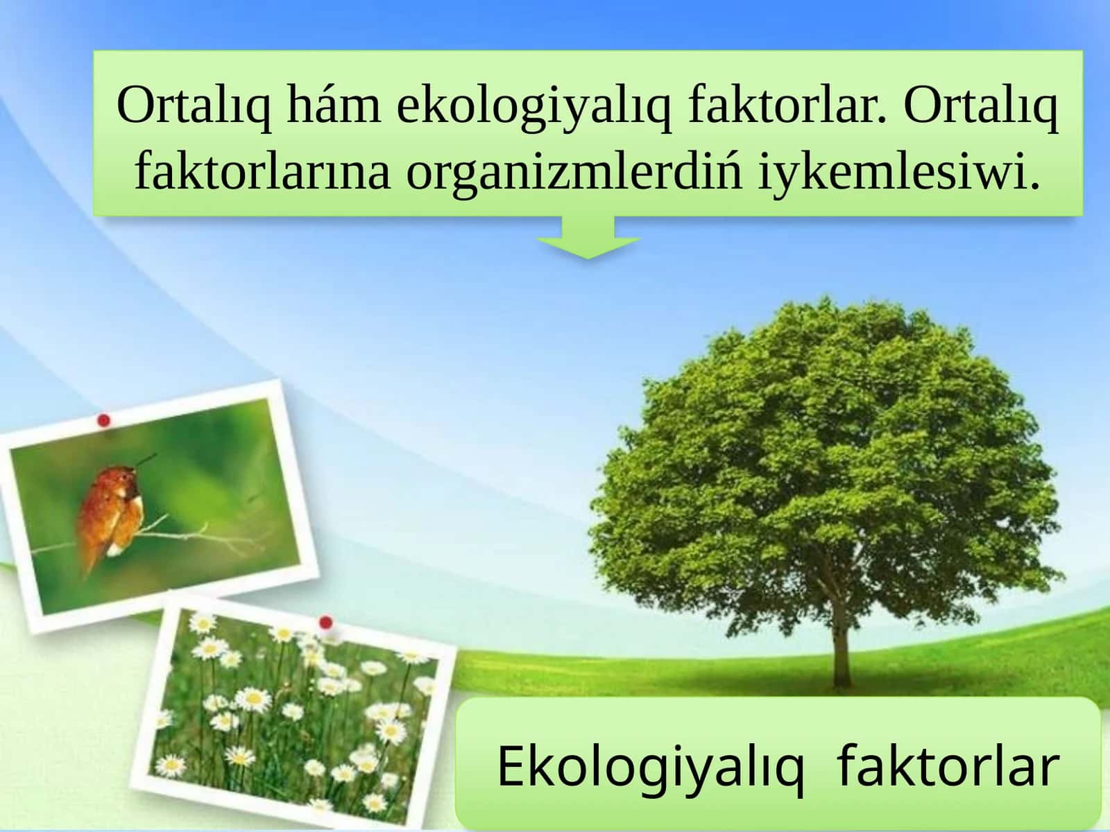 Ekologiyalıq faktorlar 1