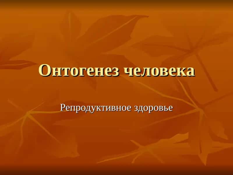 Онтогенез человека 1