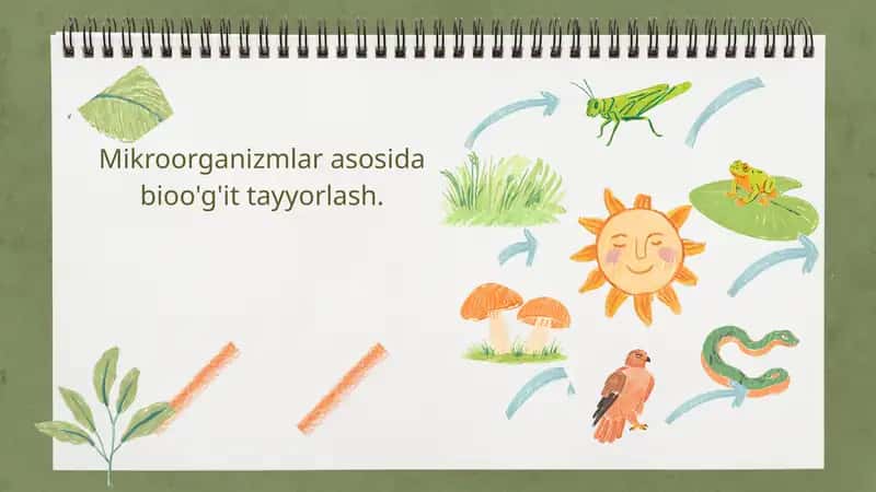 Mikroorganizmlar asosida bioo'g'it tayyorlash 1