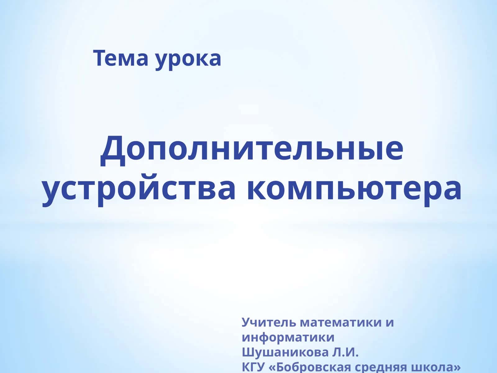 Дополнительные устройства компьютера 1