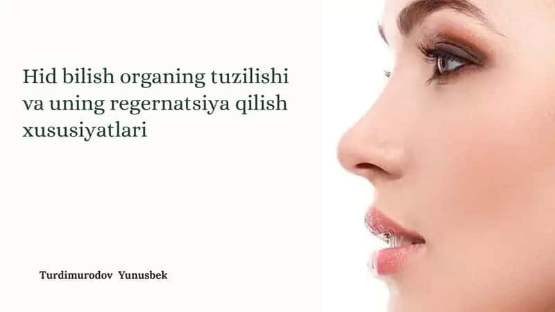 Hid Bilish Organining Tuzilishi 1