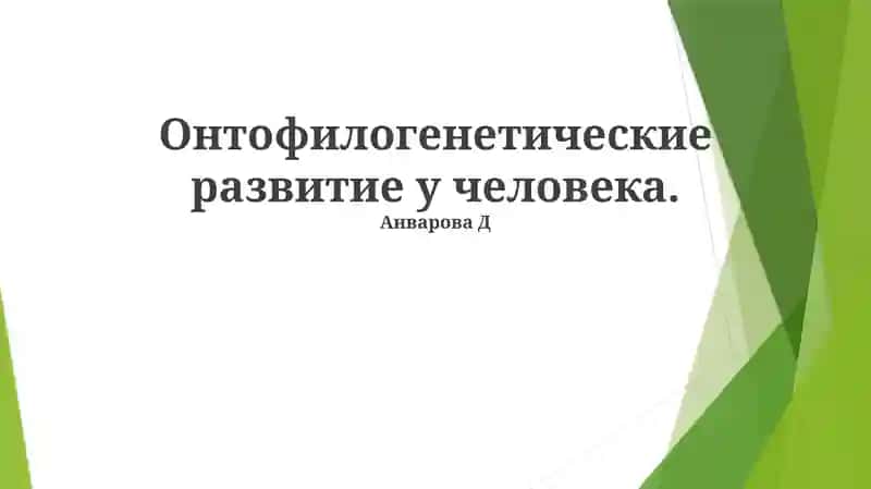 Онтофилогенетические развитие у человека
