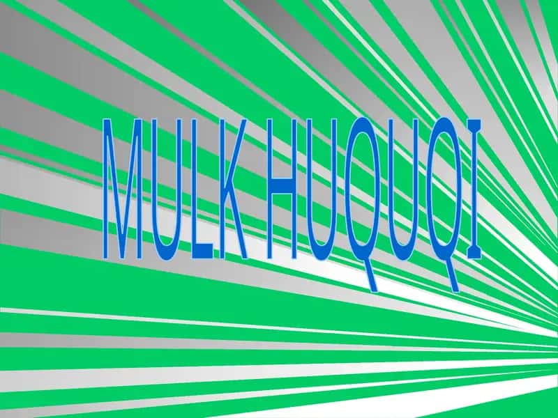 Mulk va mulk huquqi tushunchalari 1