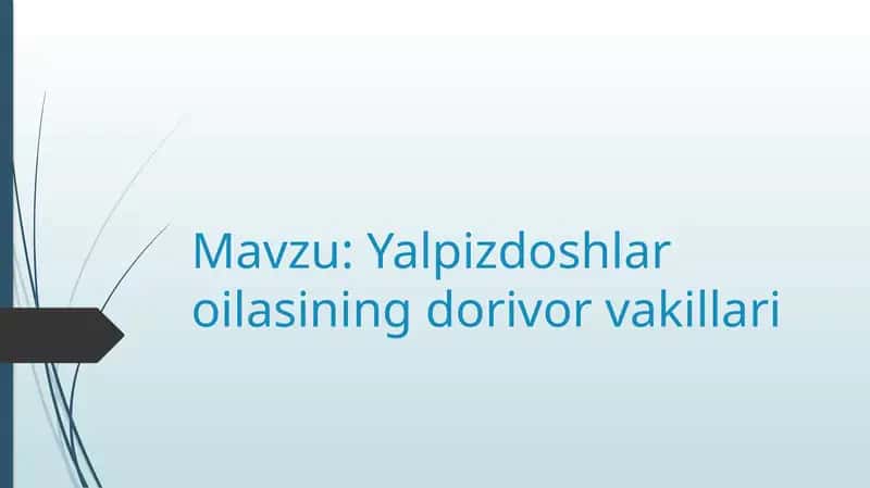Yalpizdoshlar oilasining dorivor vakillari 1