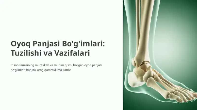 Oyoq Panjasi Bo'g'imlari 1