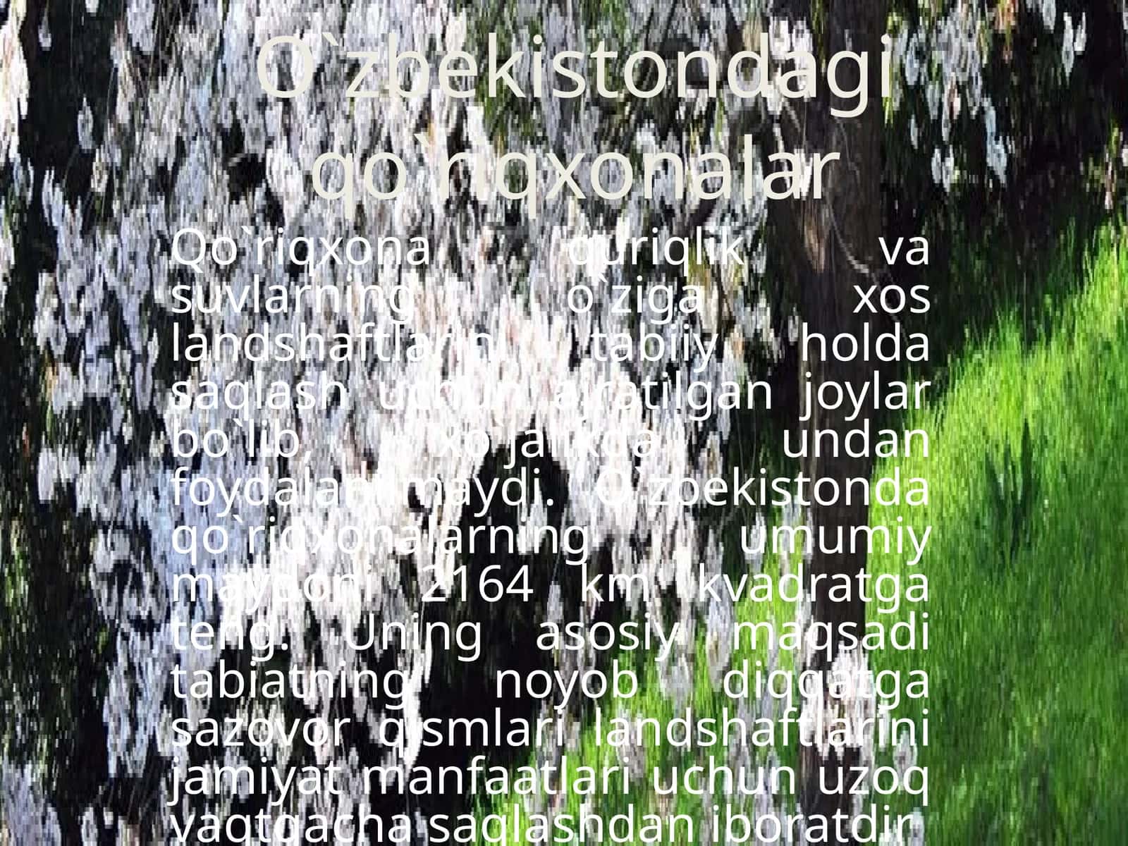 Qo`riqxonalar 1
