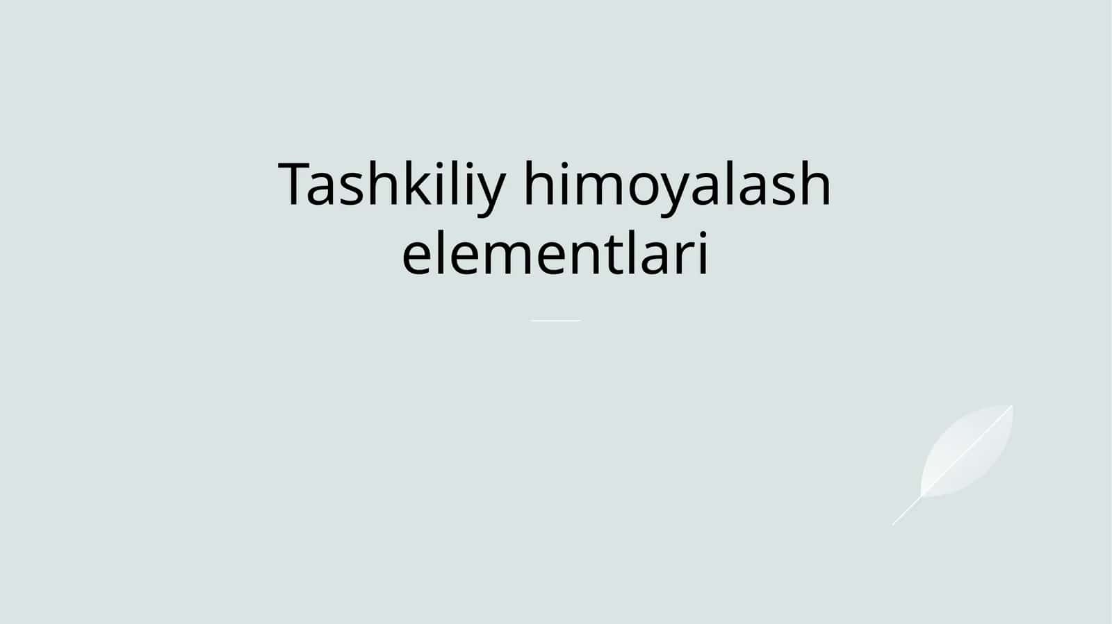 Tashkiliy himoyalash elementlari 1