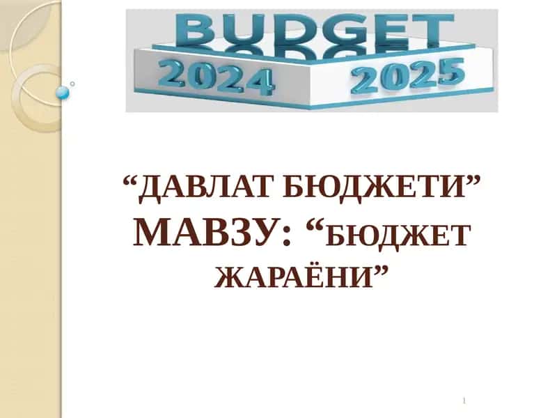 Davlat budjeti jarayoni 1