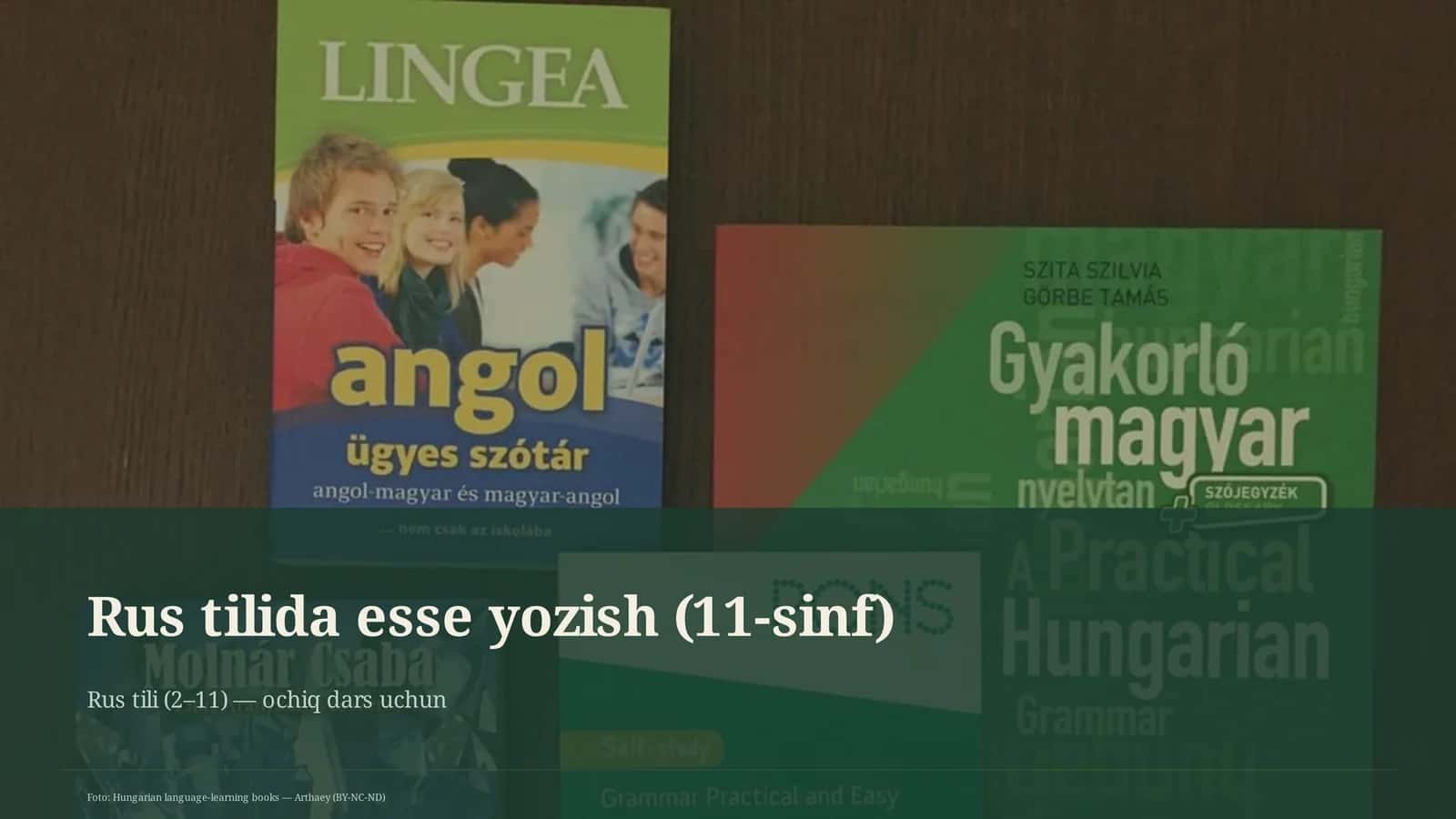 Rus tilida esse yozish (11-sinf) 1