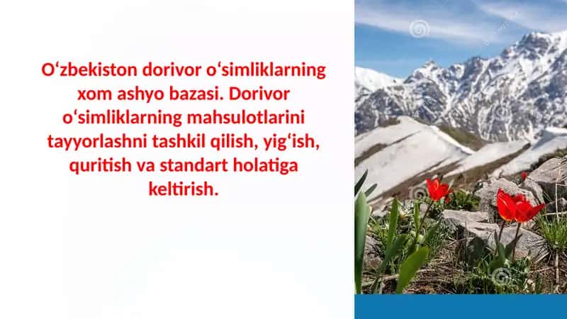 Dorivor o'simliklarning mahsulotlarini tayyorlash 1