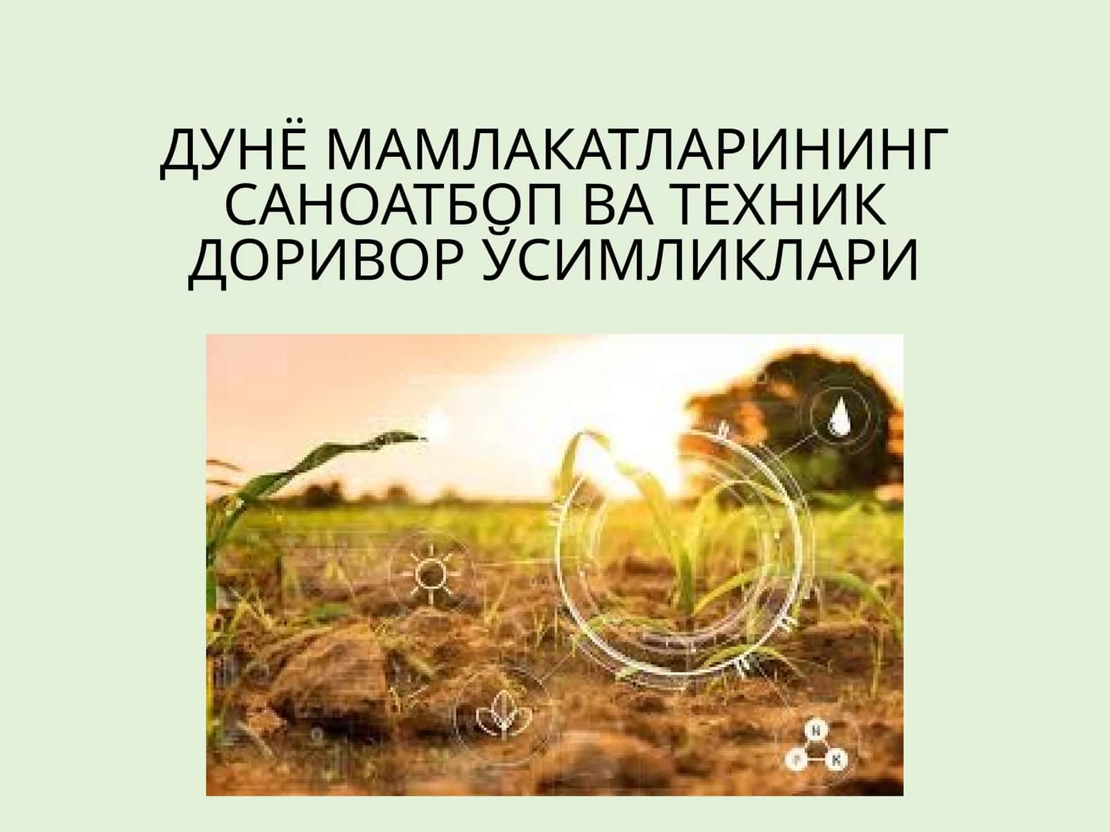ДУНЁ МАМЛАКАТЛАРИНИНГ САНОАТБОП ВА ТЕХНИК ДОРИВОР ЎСИМЛИКЛАРИ 1