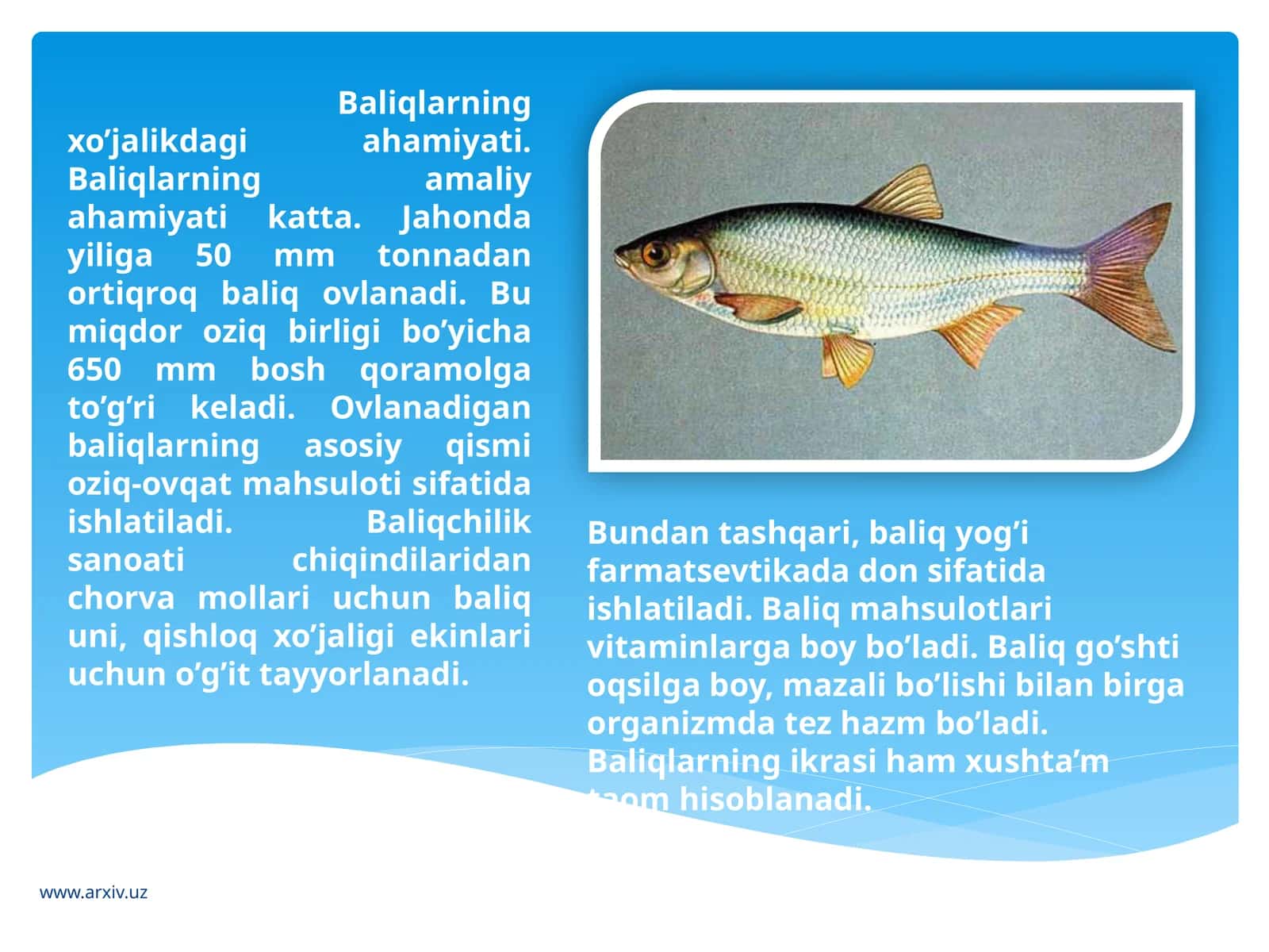 Baliqlarning xo’jalikdagi ahamiyati 1