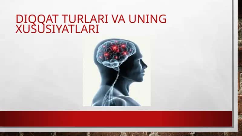 Taqdimot Diqqat turlari va uning xususiyatlari 1