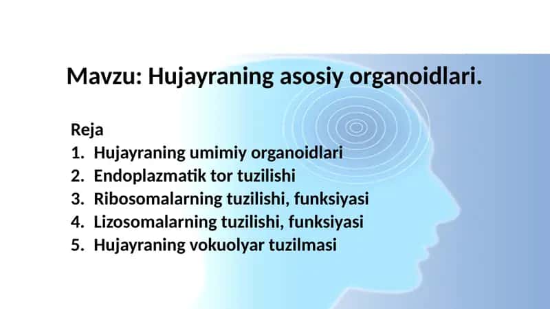 Hujayraning asosiy organoidlari 1