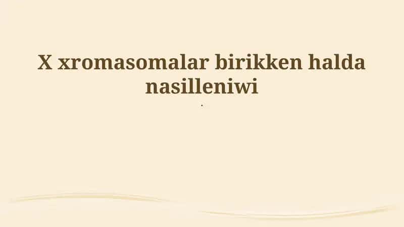 X Xromasomalar 1