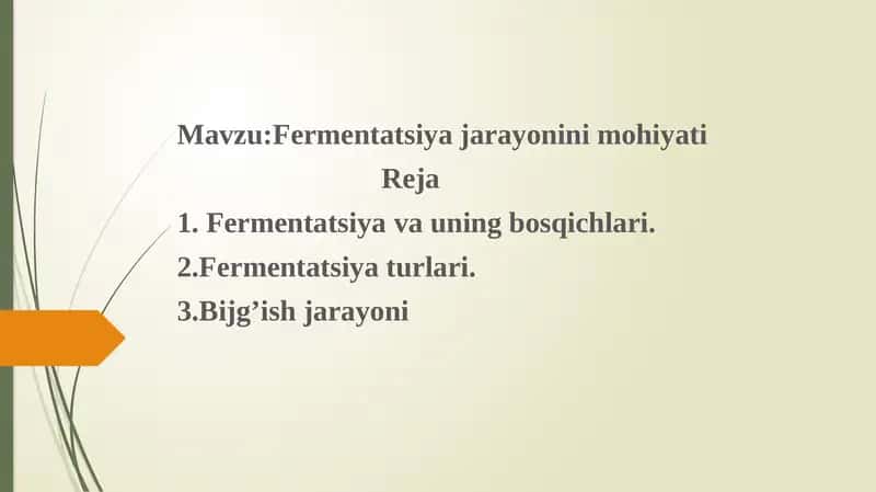 Fermentatsiya jarayonini mohiyati 1