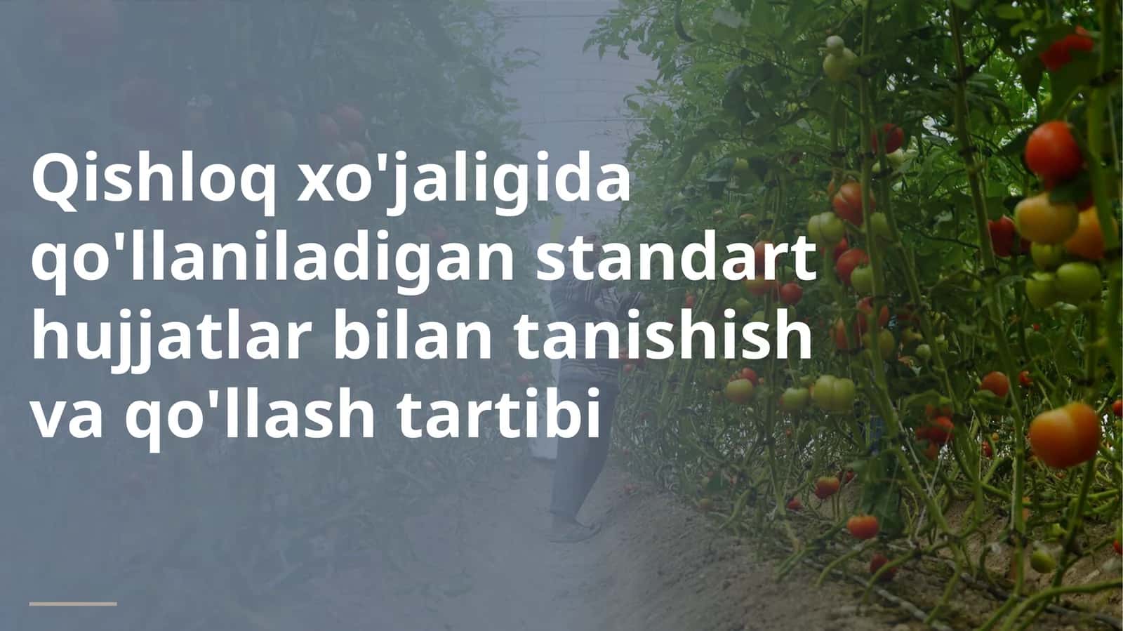 ILMIY-TEXNIK TAHLILIY TAQDIMOT 1