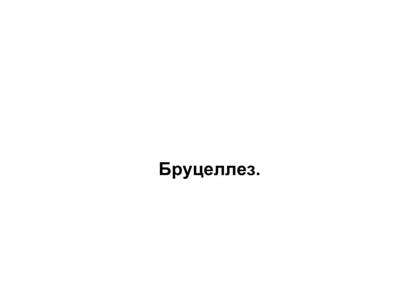 Бруцеллез 1