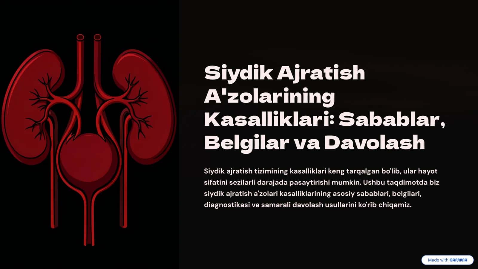Siydik Ajratish A'zolarining Kasalliklari: Sabablar, Belgilar va Davolash 1