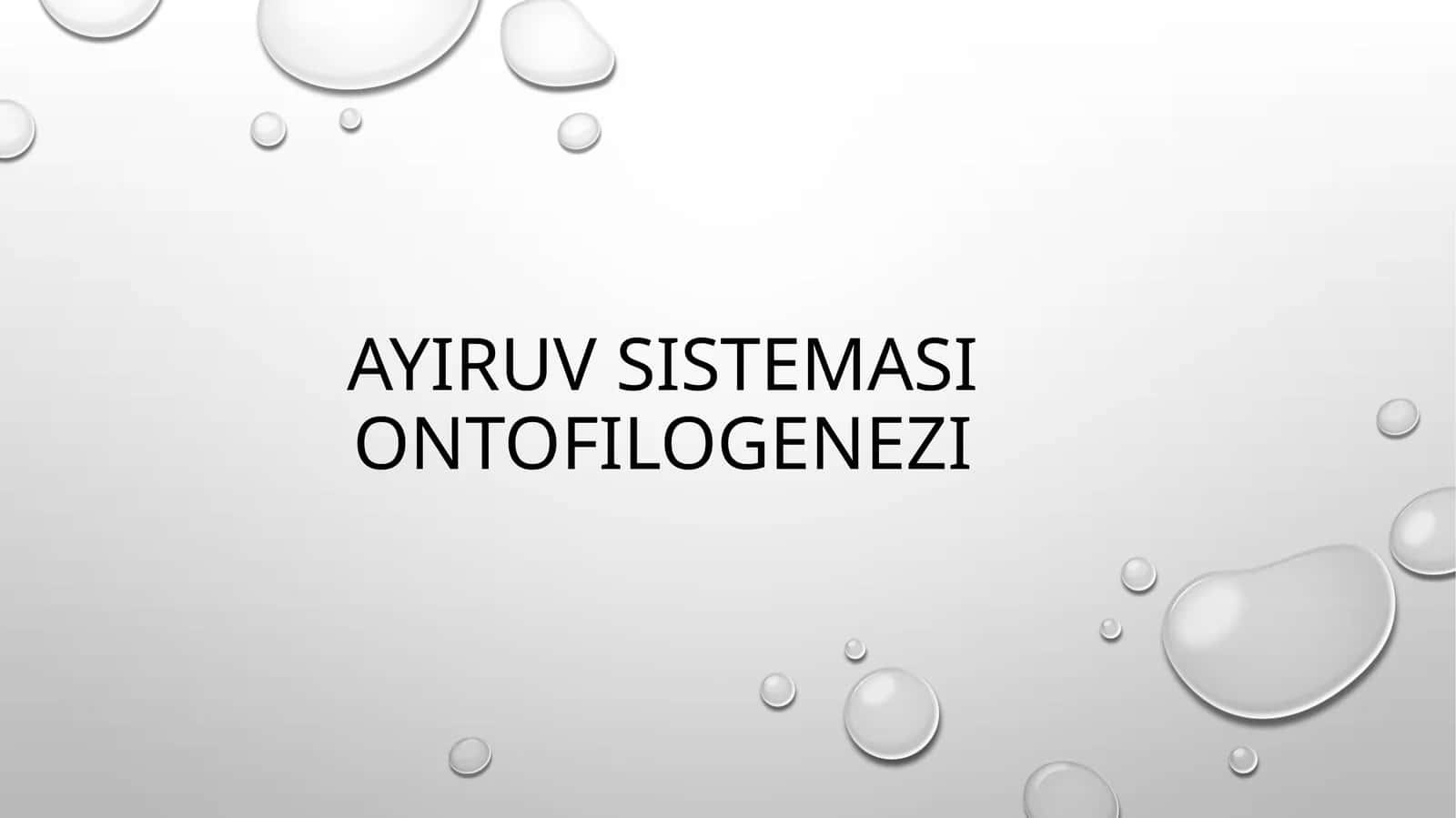 Ayiruv sistemasi ontofilogenezi 1