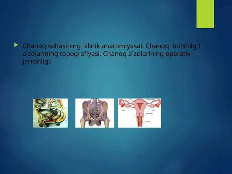 Chanoq sohasinin gklinikan atomiyasai 1