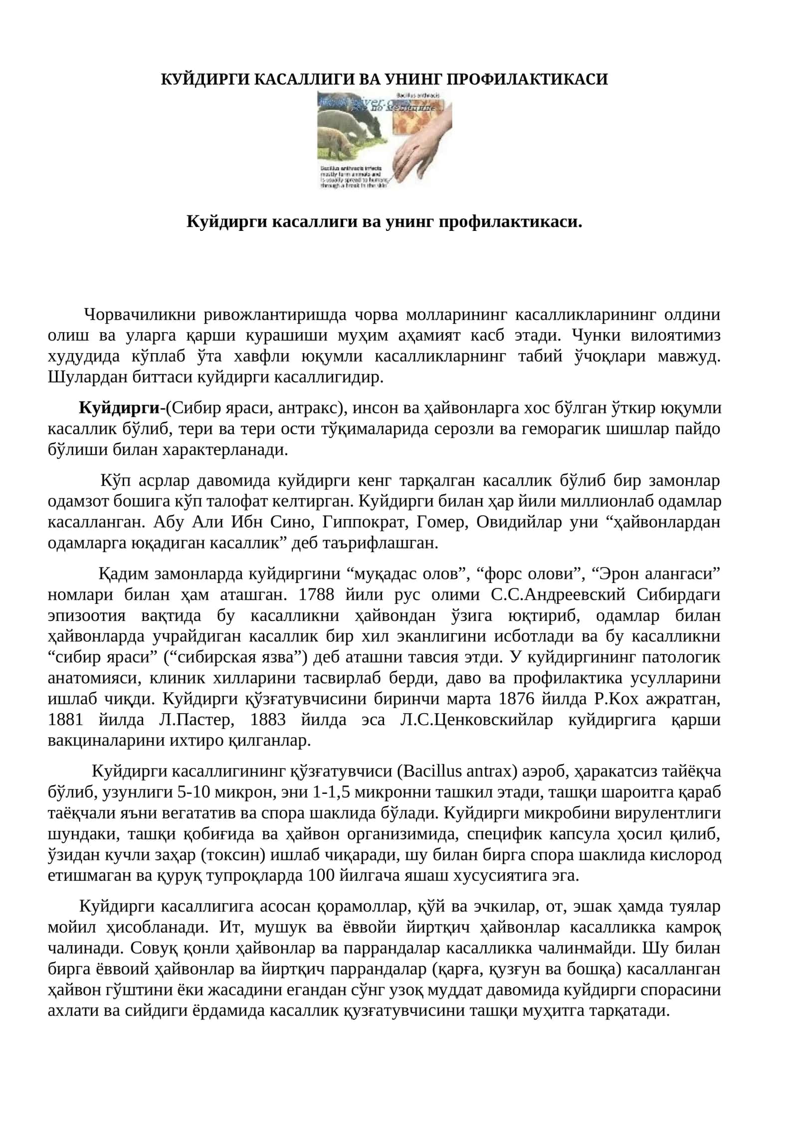 Куйдирги касаллиги ва унинг профилактикаси 1