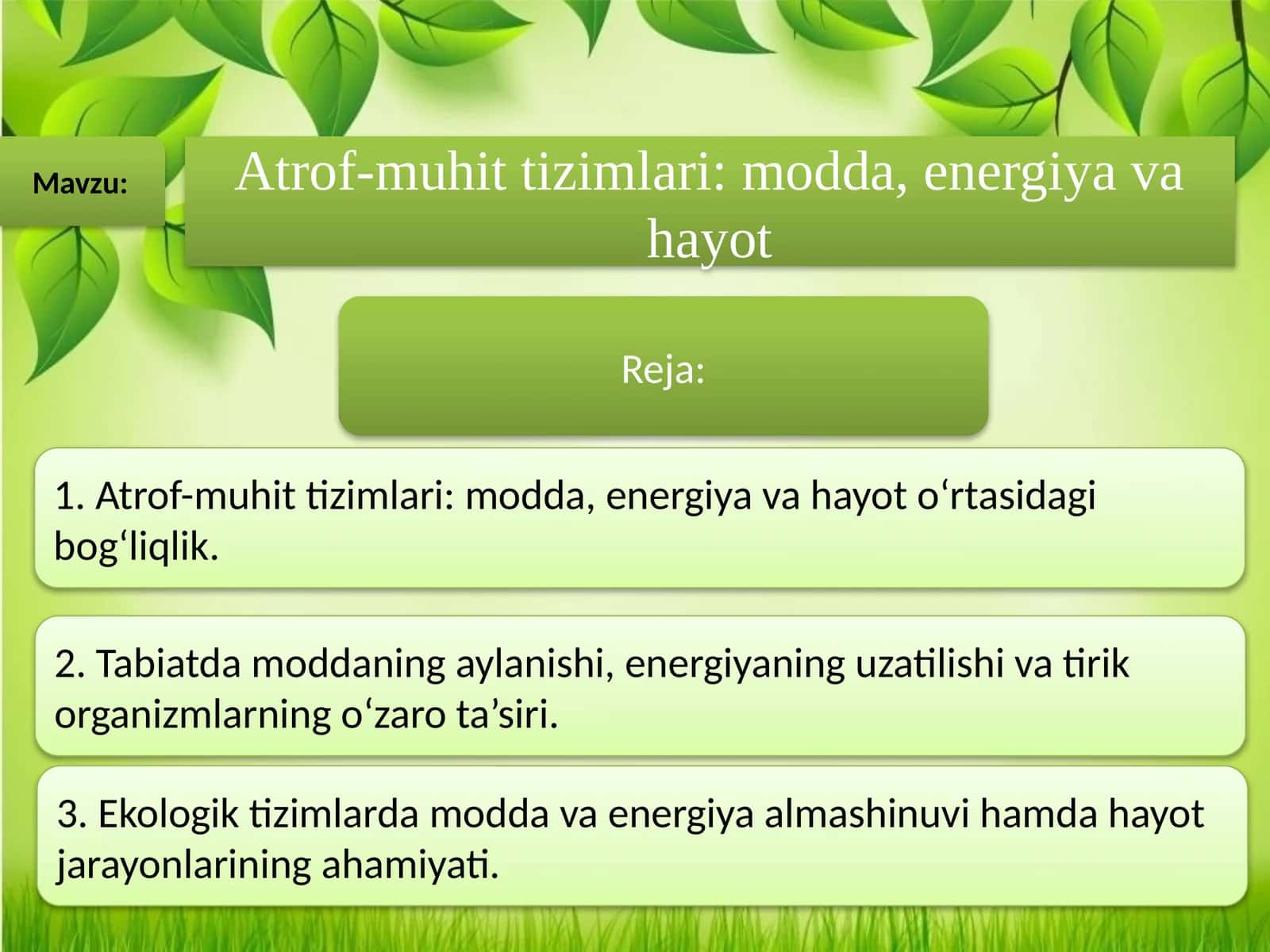 Atrof-muhit tizimlari modda, energiya va hayot 1