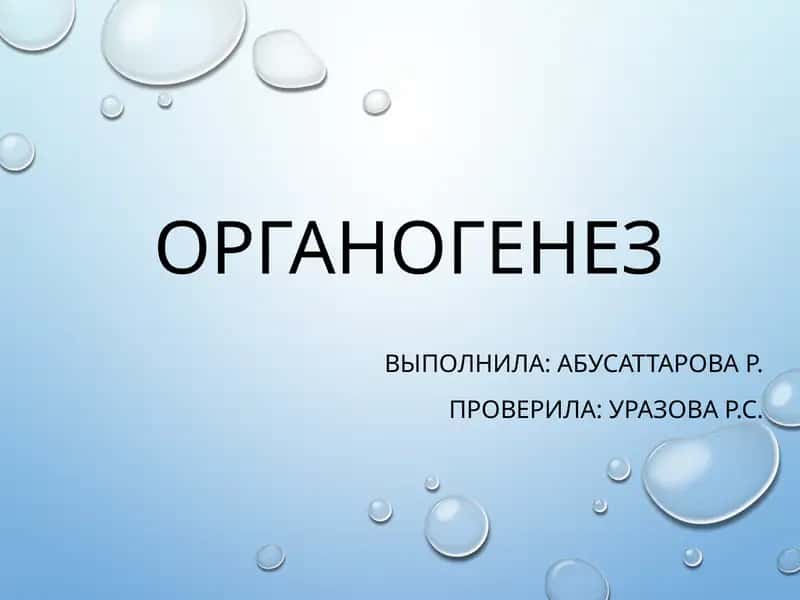 ОРГАНОГЕНЕЗ 1