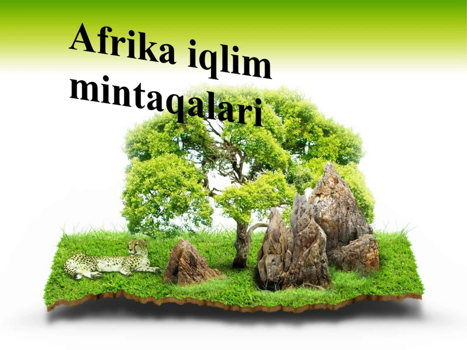 Afrika iqlim mintaqalari 1