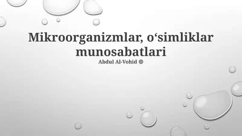Mikroorganizmlar, oʻsimliklar munosabatlari 1