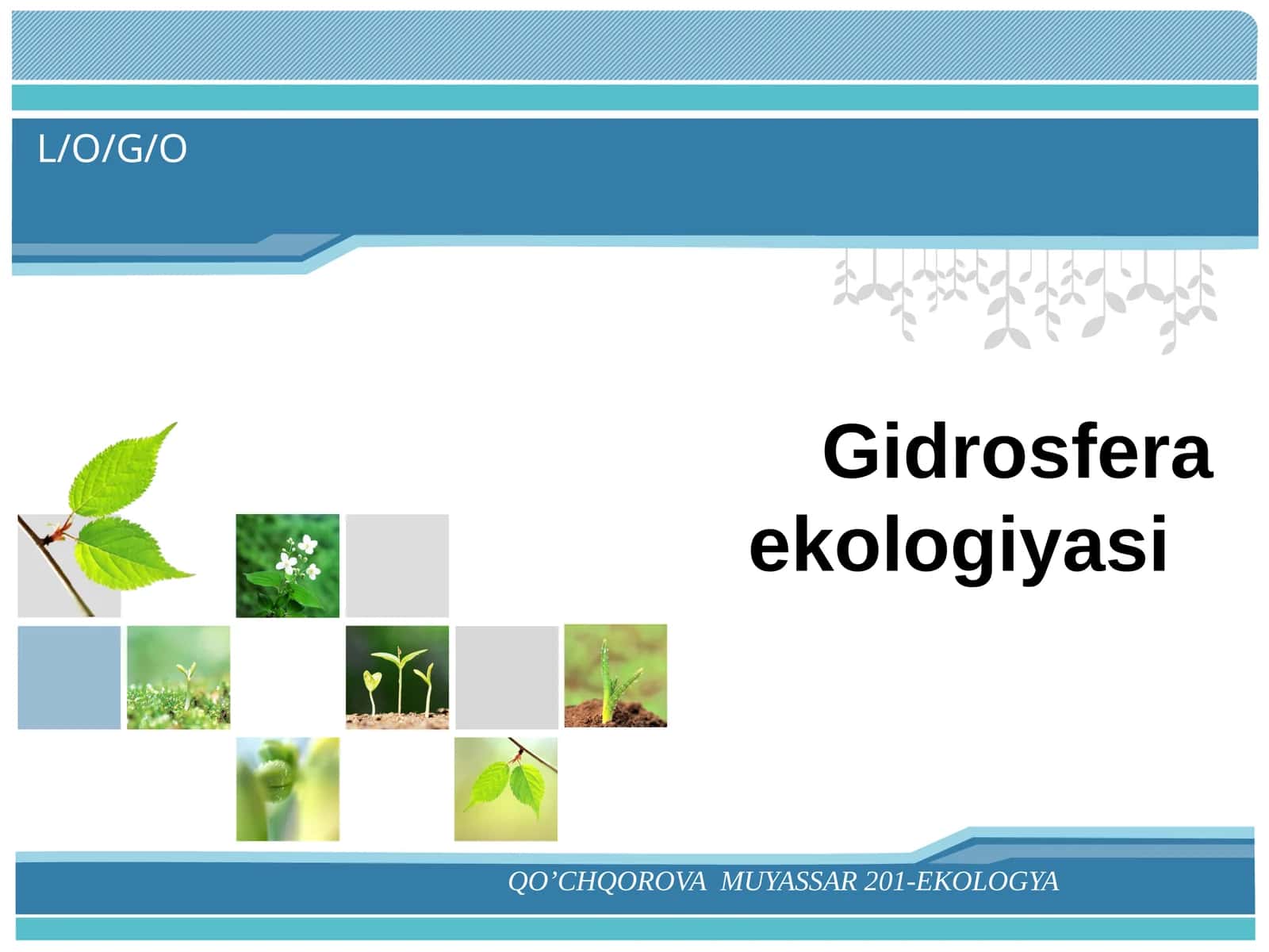 Gidrosfera ekologiyasi 1