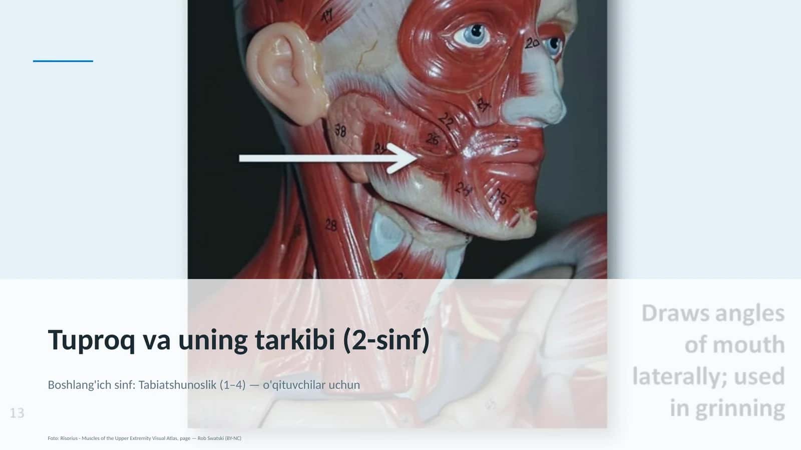 Tuproq va uning tarkibi (2-sinf) 1